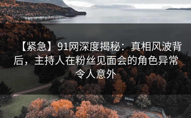 【紧急】91网深度揭秘：真相风波背后，主持人在粉丝见面会的角色异常令人意外